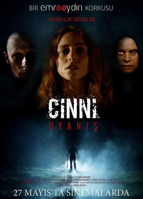 Cinni: Uyanış (2016) poster