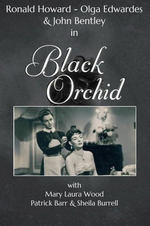Black Orchid (1953) poster