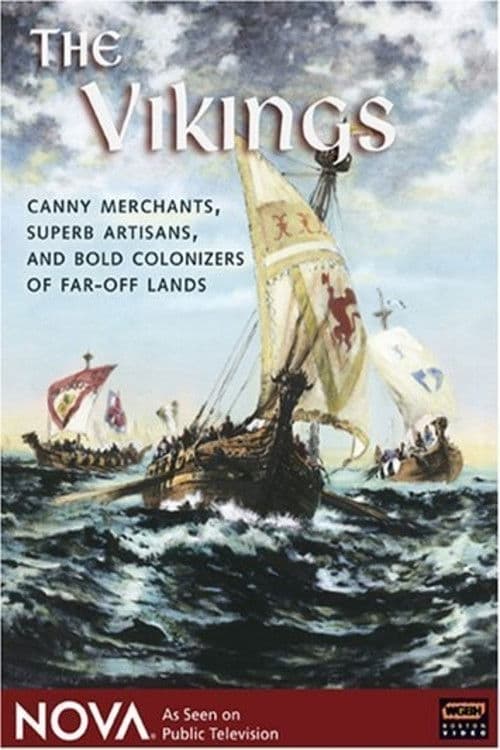 The Viking Saga - The Era of The Long Ships (1999) poster