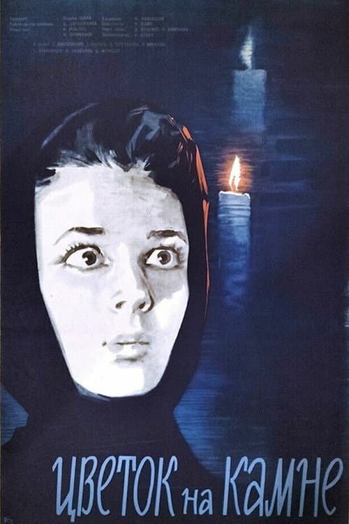 Цветок на камне (1963) poster