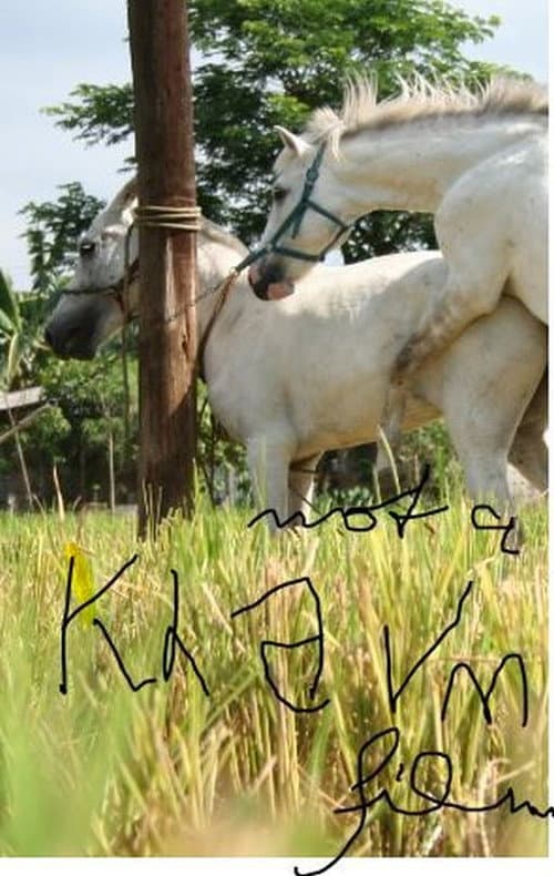The Muzzled Horse of an Engineer in Search of Mechanical Saddles (2008) poster