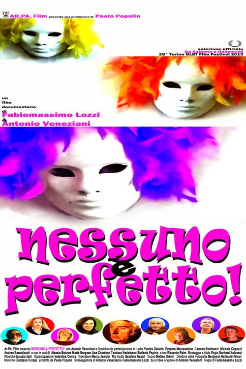 Nessuno è perfetto! (2013) poster