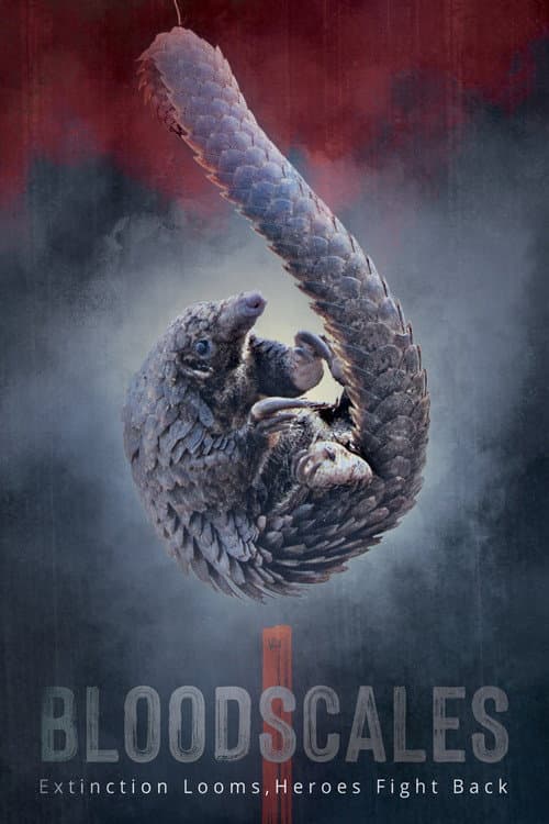 Blood Scales (2021) poster