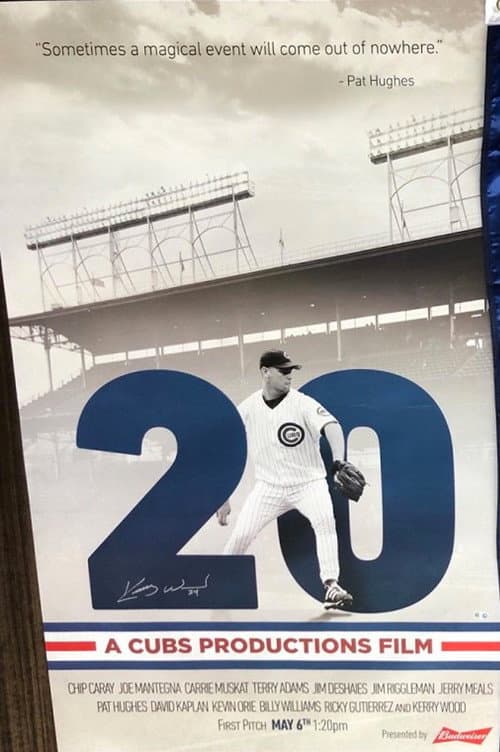 20 (2018) poster