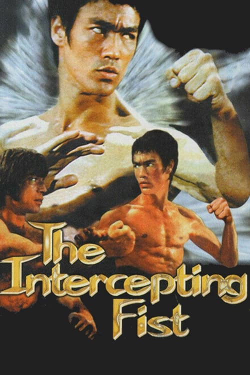 Bruce Lee: The Intercepting Fist (1998) poster