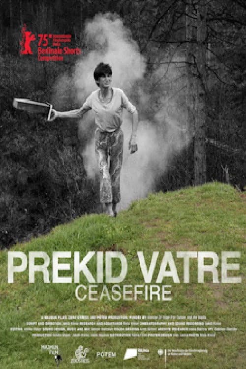 Prekid vatre (2025) poster