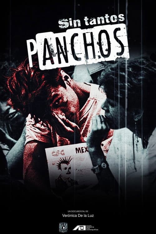 Sin tantos panchos (2019) poster