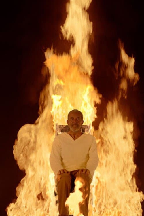 Martyrs: Fire (2014) poster