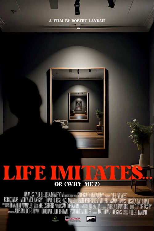 Life Imitates... or (Why Me?) (2024) poster