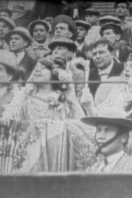 La Barrera número 13 (1913) poster