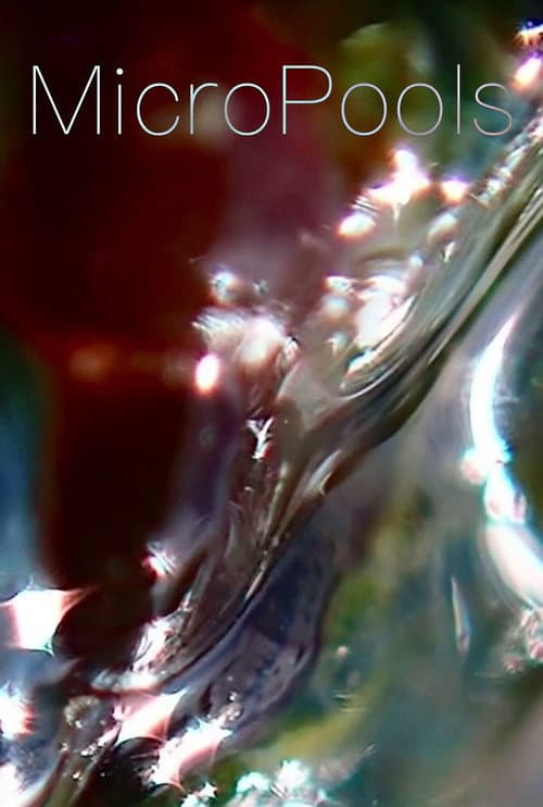 MicroPools (2026) poster
