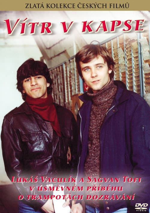 Vítr v kapse (1983) poster