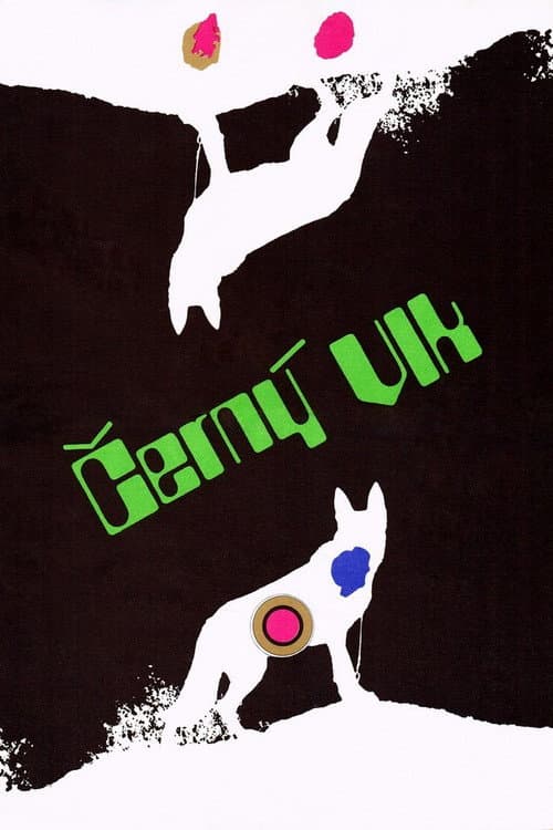 Černý vlk (1972) poster