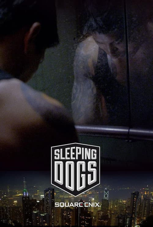 Sleeping Dogs (2012) poster