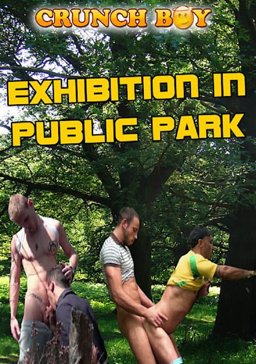 Exhibition in Public Park (2012) poster