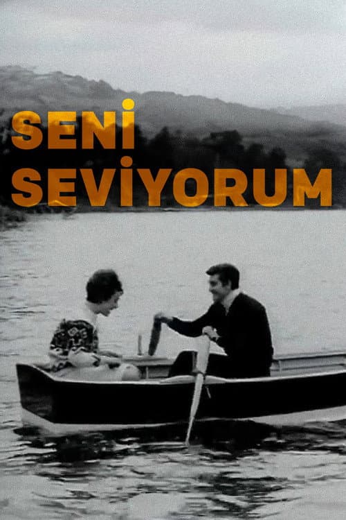 Seni Seviyorum (1966) poster