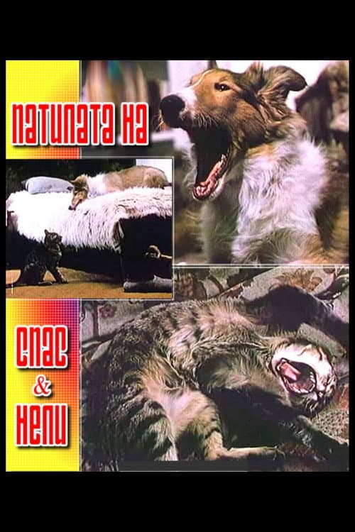 Патилата на Спас и Нели (1989) poster