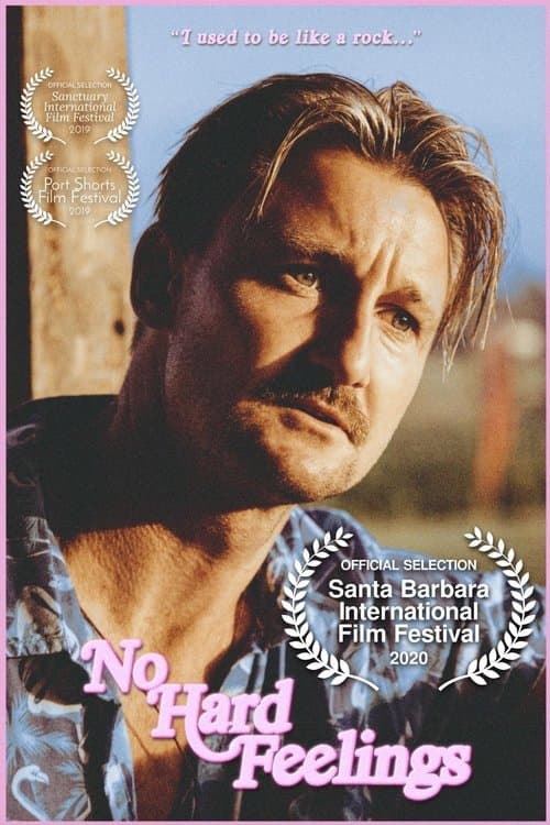 No Hard Feelings (2020) poster