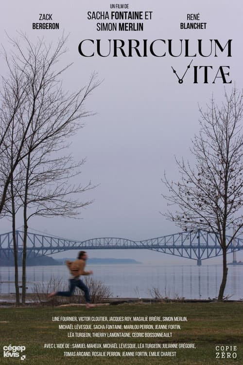 Curriculum Vitae (2024) poster