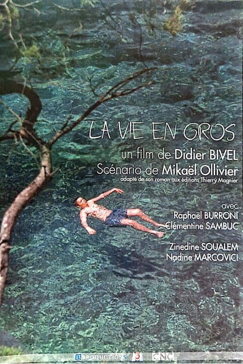 La vie en gros (2002) poster