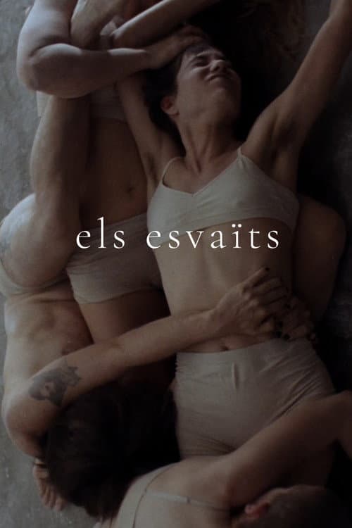 Els esvaïts (2020) poster