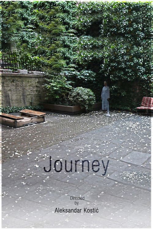 Journey (2012) poster
