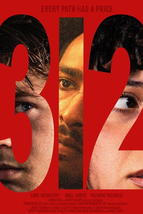 312 (2026) poster