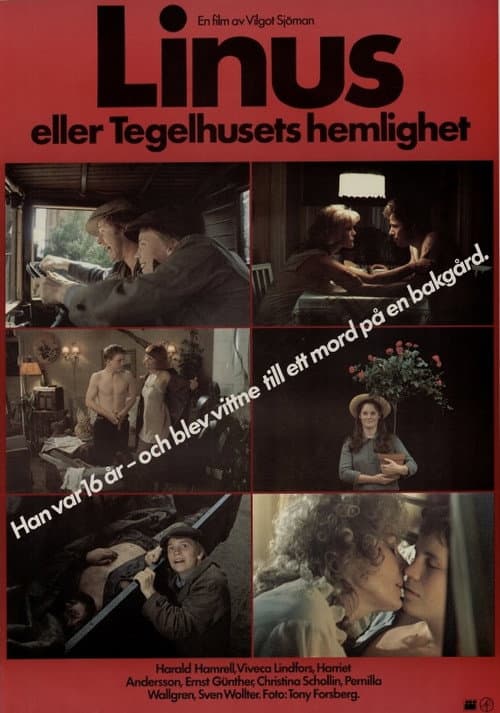 Linus eller Tegelhusets hemlighet (1979) poster