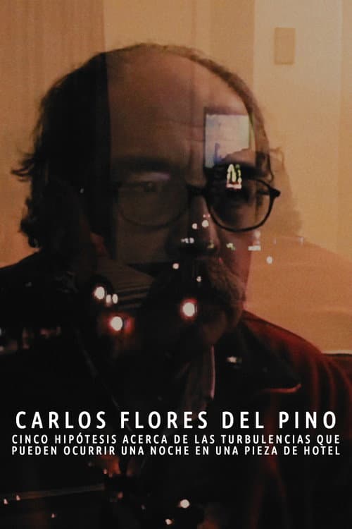 Cinco hipótesis acerca de las turbulencias que pueden ocurrir una noche en una pieza de hotel (2004) poster