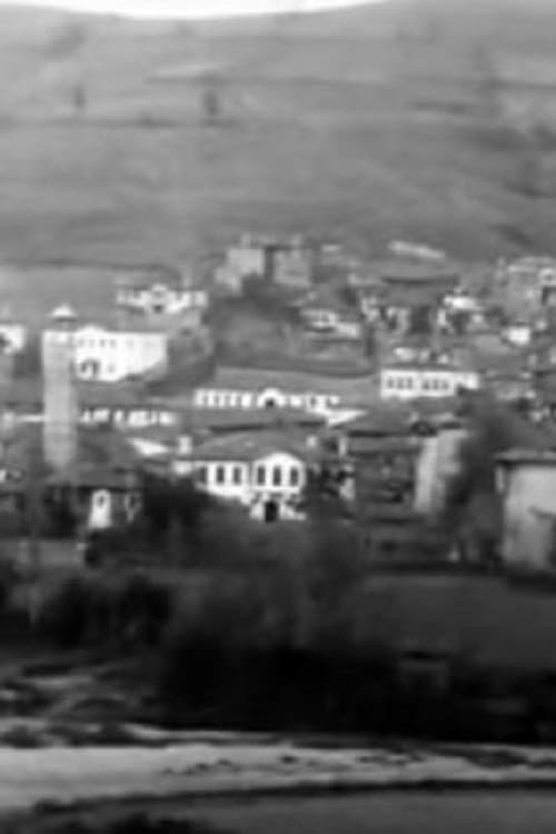 Panorama na Grevena (1911) poster