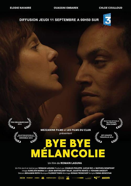 Bye Bye mélancolie (2014) poster
