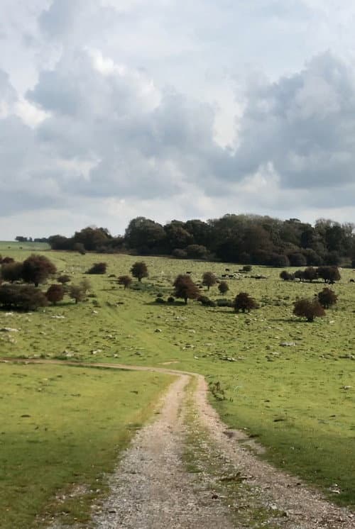 Journey to Avebury (2023) poster