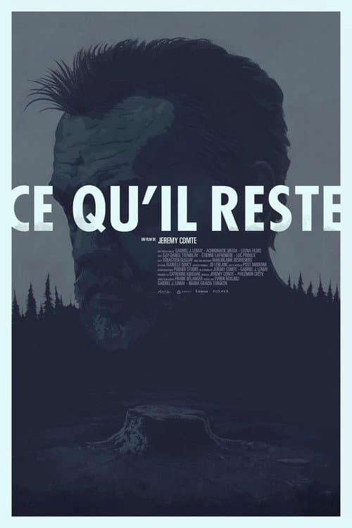 Ce qu'il reste (2016) poster