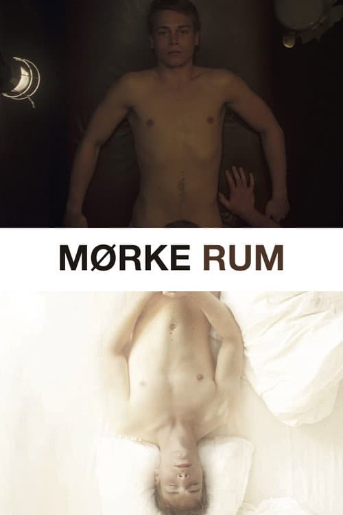 Mørke rum (2015) poster