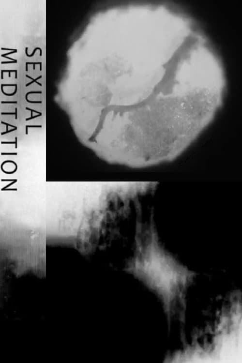 Sexual Meditation (2013) poster
