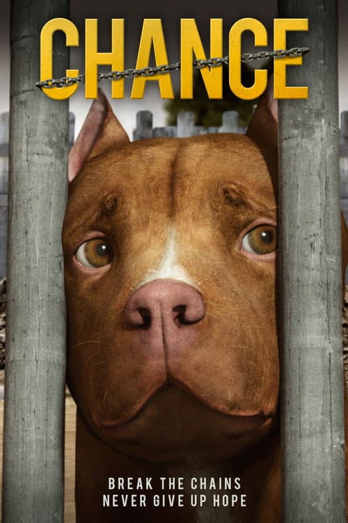 Chance (2019) poster