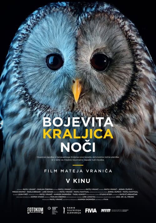 Bojevita kraljica noči (2024) poster