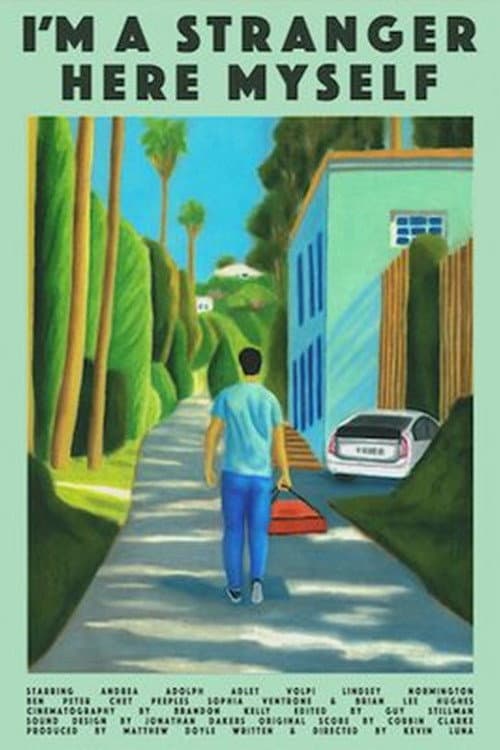 I'm a Stranger Here Myself (2026) poster