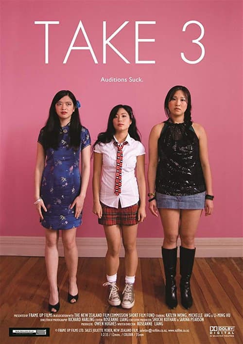 Take 3 (2008) poster
