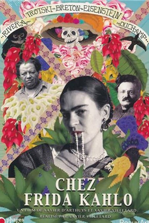 Chez Frida Kahlo (2011) poster