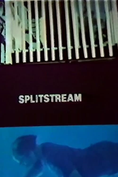 Splitstream (1978) poster