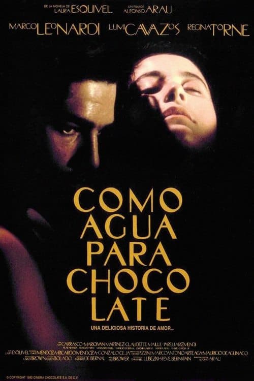 Como Agua Para Chocolate (1992) poster