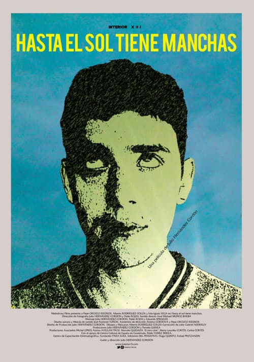 Hasta el sol tiene manchas (2013) poster