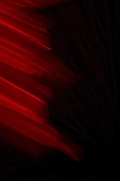 Ombres acoustiques (2023) poster