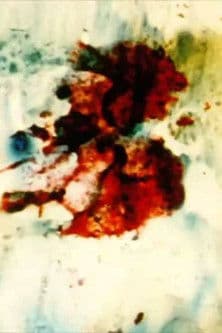 SB (2002) poster