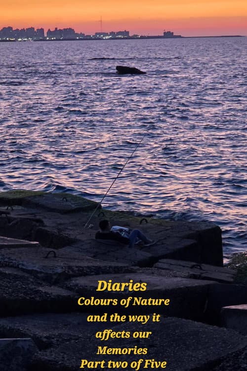 Diaries: Colours of Nature and the Way It Affects Our Memories. (2026) poster