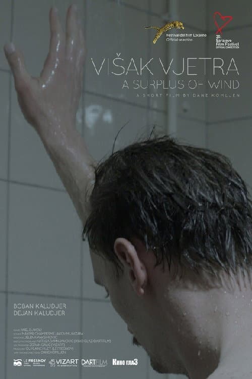 Višak vjetra (2014) poster