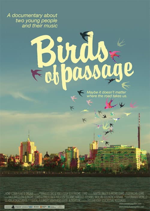 Aves de Paso (2009) poster