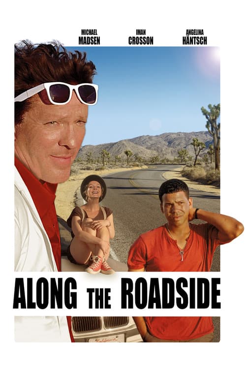 Along the Roadside (2013) poster