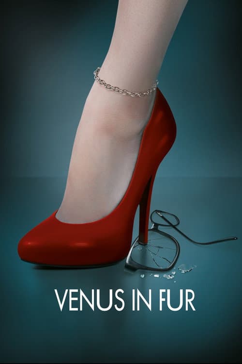 La Vénus à la fourrure (2013) poster